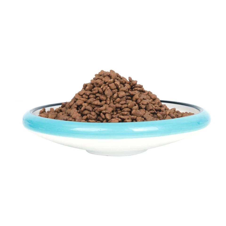 High Quality Natural Healthy Dog Food Factory